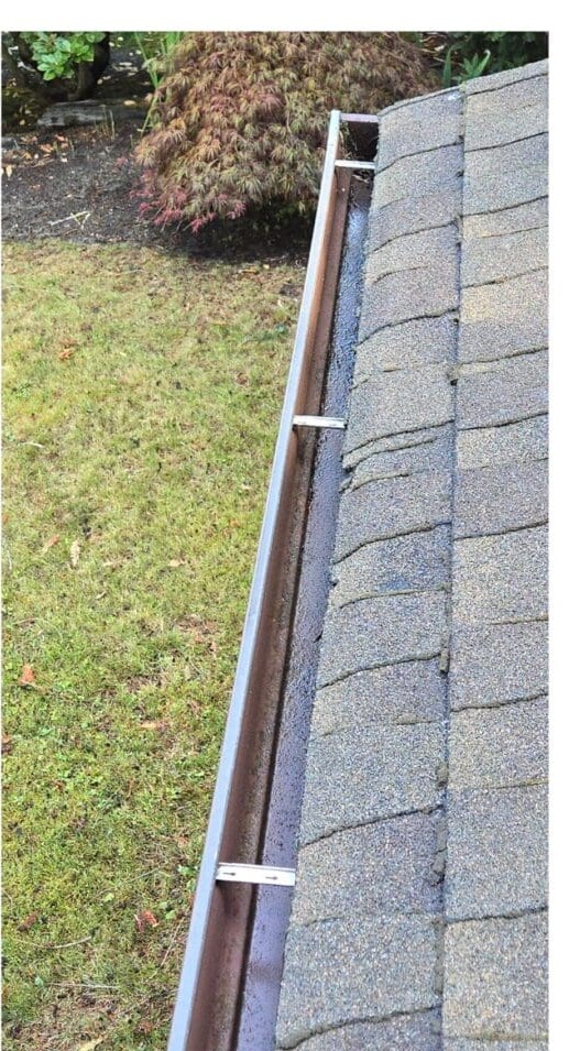 Clean gutter after professional cleaning