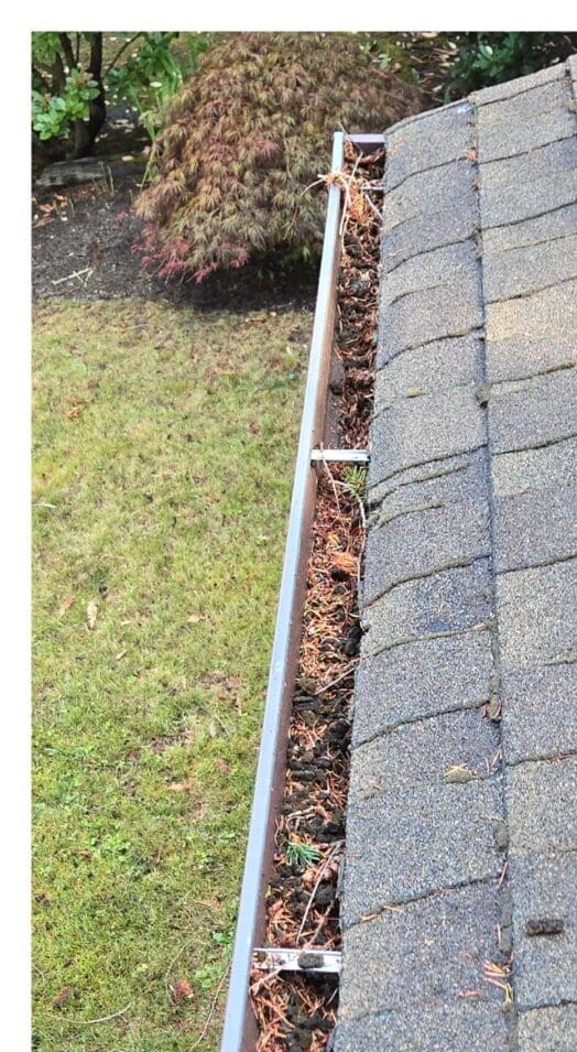 Gutter full of debris before cleaning