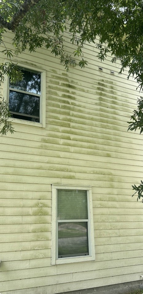 House siding stained with mold and mildew before pressure washing